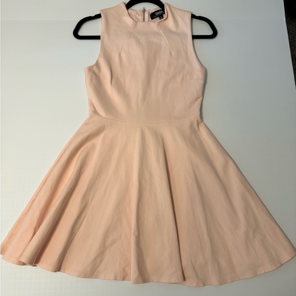 Kacey Montoya‘s Closet | Lulus Pink Skater Dress